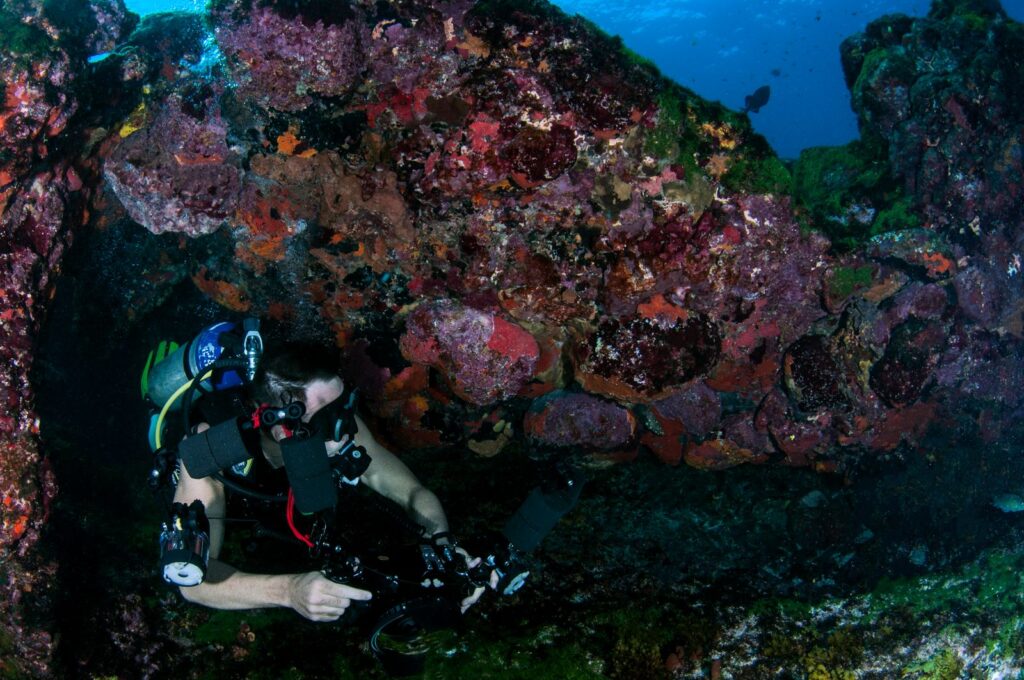 Underwater photographer shooting a coral reef with camera housing